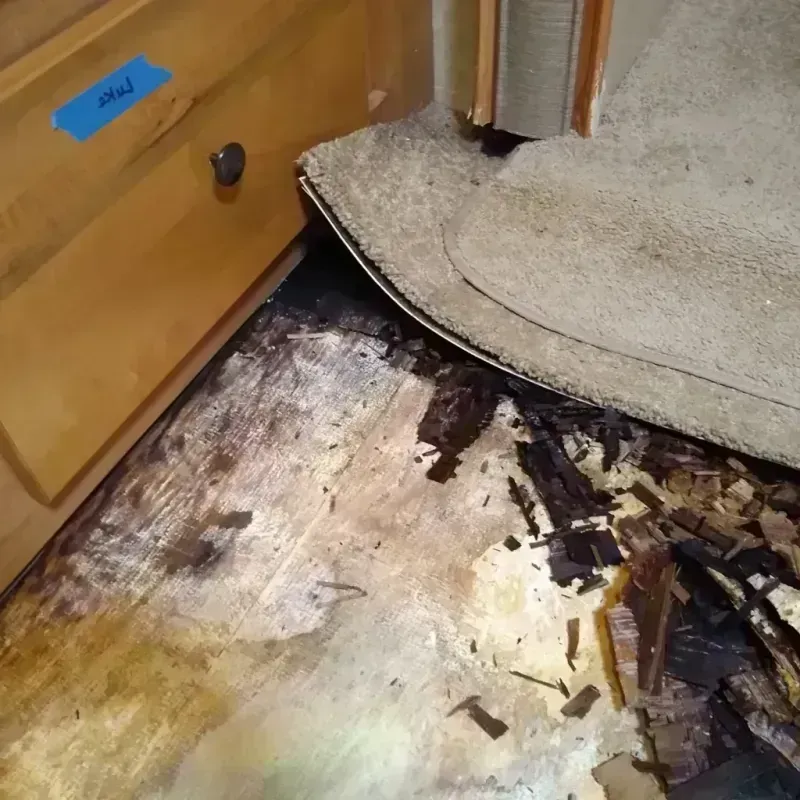 Wood Floor Water Damage in Bolindale, OH